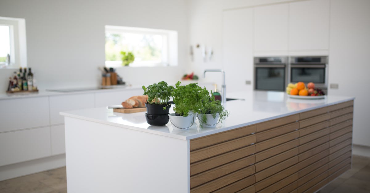 découvrez notre vaste sélection d'ustensiles de cuisine, conçus pour faciliter la préparation de vos plats préférés. que vous soyez un chef amateur ou un cuisinier aguerri, trouvez les outils indispensables pour exprimer votre créativité culinaire.