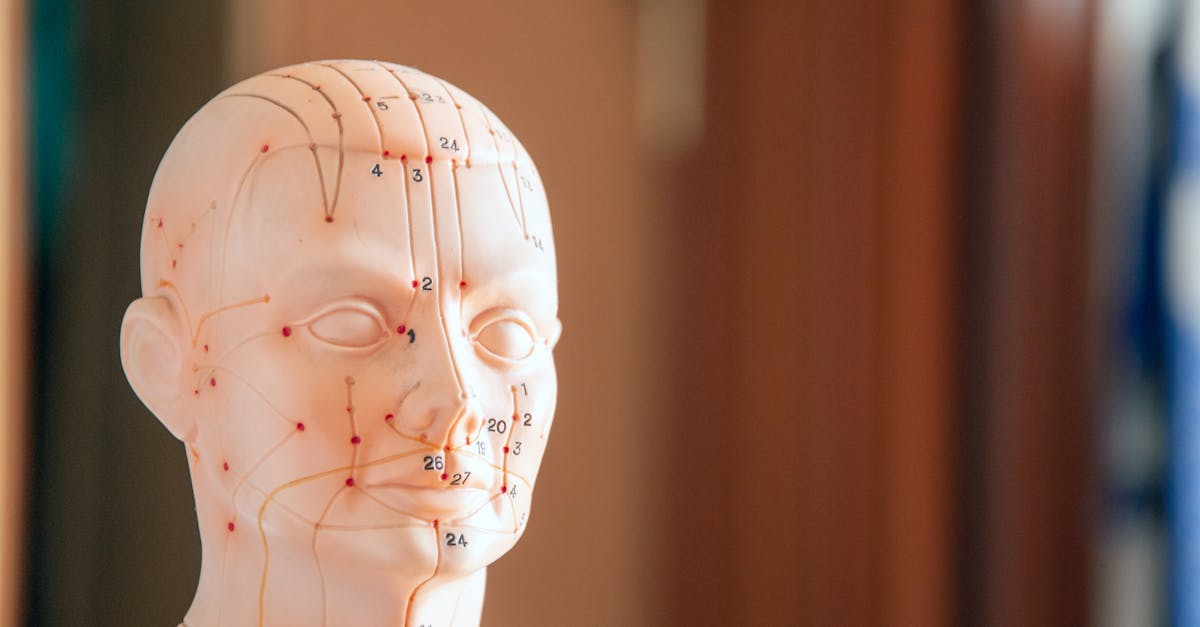 découvrez les bienfaits de l'acupressure, une pratique millénaire qui utilise des points de pression pour soulager le stress, améliorer la circulation et favoriser le bien-être général. apprenez à libérer vos tensions et à retrouver l'harmonie dans votre corps grâce à des techniques simples et efficaces.