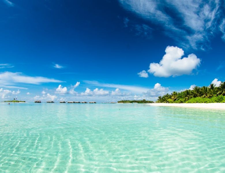 Découvrez les secrets d’un paradis sur My Paradies mag