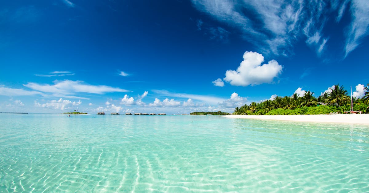 Découvrez les secrets d’un paradis sur My Paradies mag
