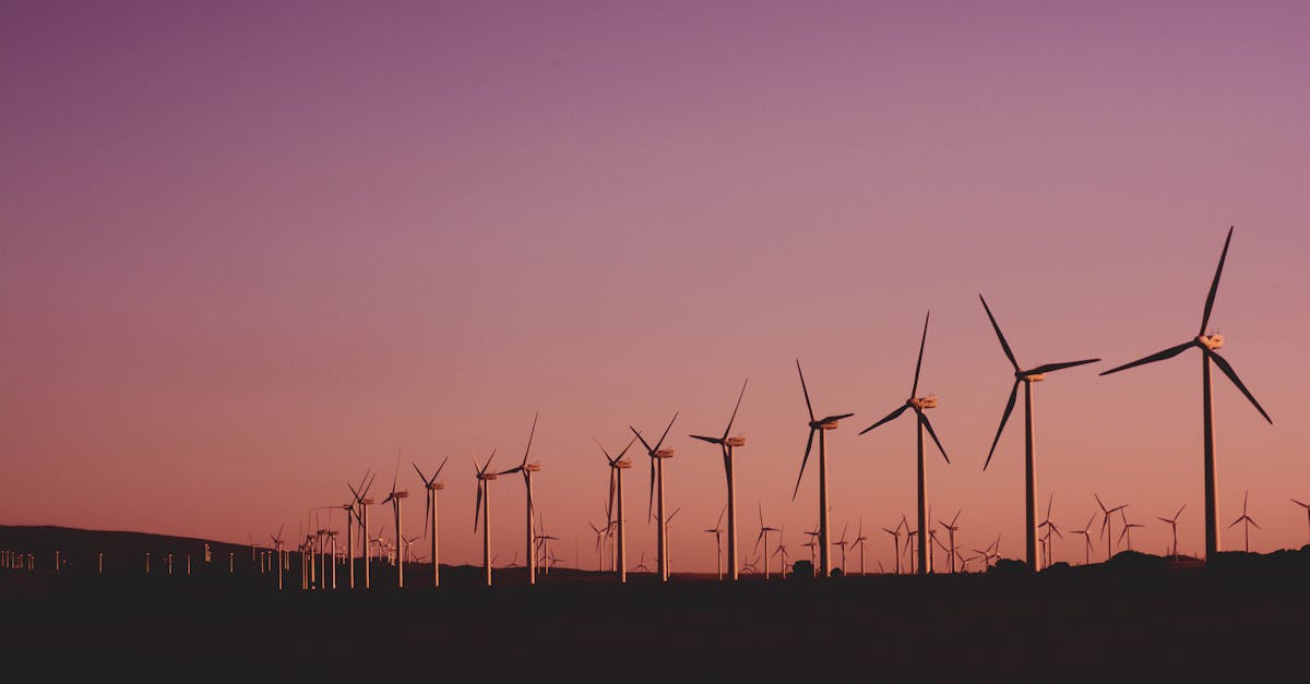 découvrez l'importance de la durabilité dans notre société moderne. apprenez comment adopter des pratiques écologiques et responsables pour un avenir plus vert et plus sain pour les générations à venir.