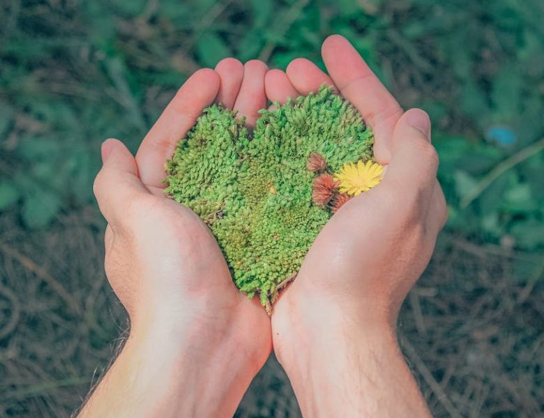 Explorez les Dernières Tendances Écologiques sur Dimensione Natura