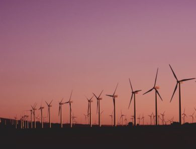 Boostez vos Prospects dans le Secteur des Énergies Renouvelables avec une Agence Spécialisée