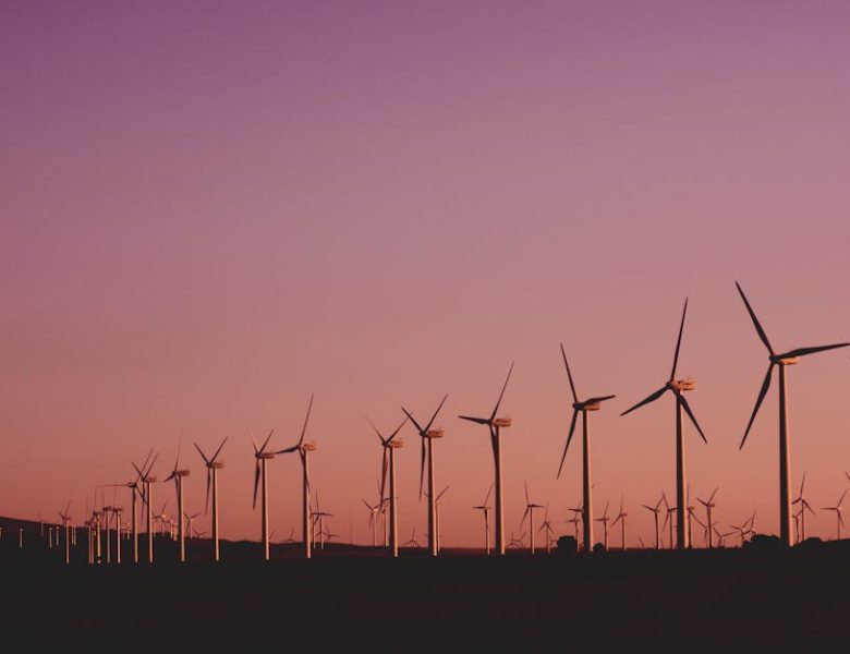 Boostez vos Prospects dans le Secteur des Énergies Renouvelables avec une Agence Spécialisée