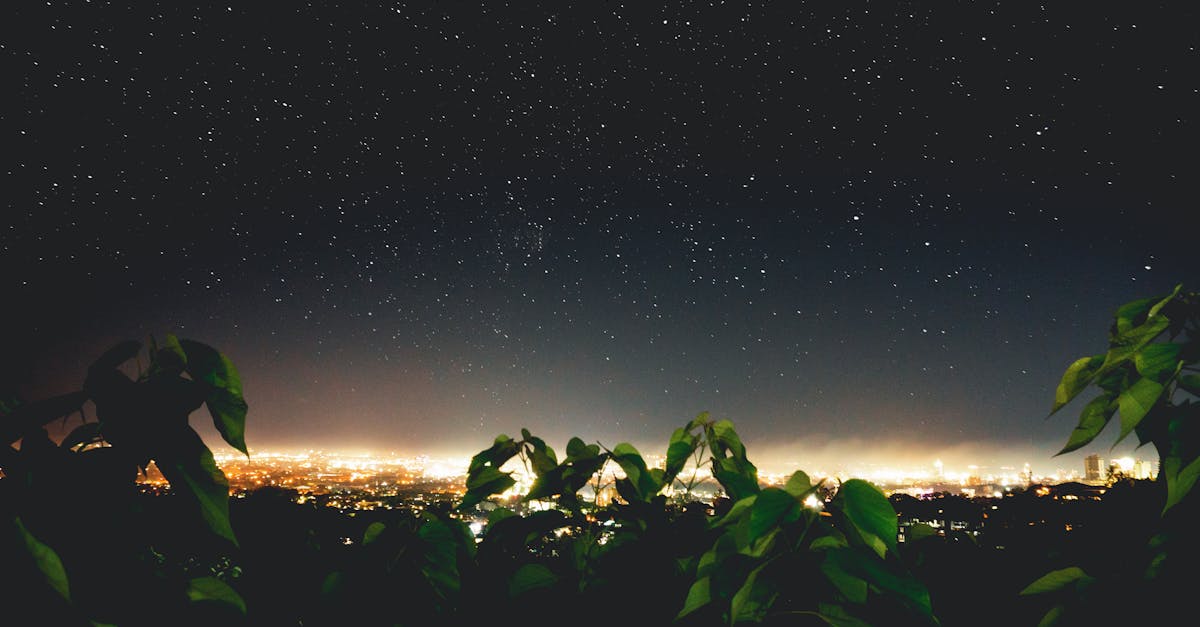 découvrez notre collection de veilleuses et lumières nocturnes, idéales pour créer une ambiance apaisante dans votre chambre. parfaites pour les enfants et les adultes, nos night lights ajoutent une touche de magie à vos nuits tout en veillant sur votre sommeil.