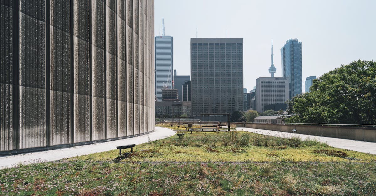 découvrez tout sur la sustainability : définitions, enjeux, pratiques et conseils pour adopter un mode de vie ou une gestion plus durable au quotidien et en entreprise.