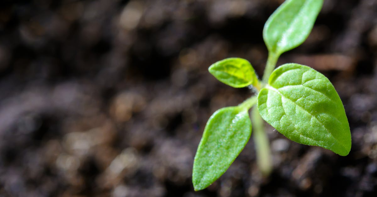 Découvrez les dernières actualités sur l’écologie et le développement durable avec Energexia