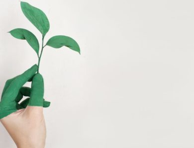 Les Nouvelles Tendances Éco-Responsables à Découvrir sur Mode Magazine