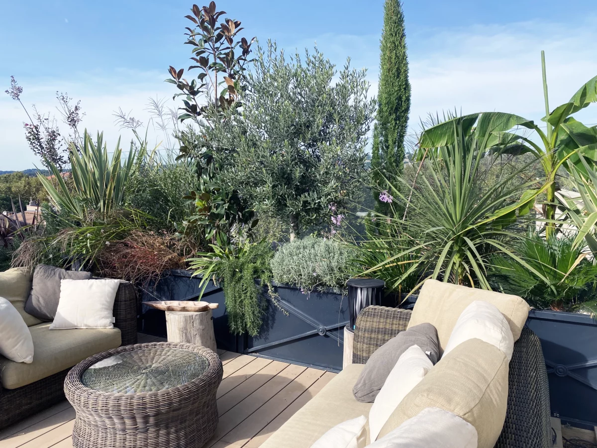 Comment un Architecte de terrasse à Paris optimise-t-il la luminosité et l’ombre ?