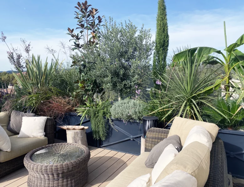 Comment un Architecte de terrasse à Paris optimise-t-il la luminosité et l’ombre ?